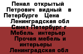 Пенал  открытый  “Петрович--видный“  в  Петербурге › Цена ­ 1 600 - Ленинградская обл., Санкт-Петербург г. Мебель, интерьер » Прочая мебель и интерьеры   . Ленинградская обл.